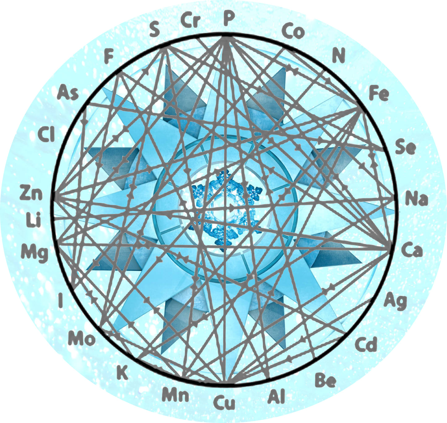 homeostaticblueprintoflife